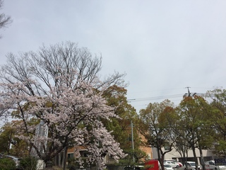 20160406-1.jpeg