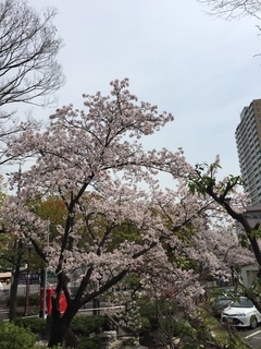20160406-2.jpeg