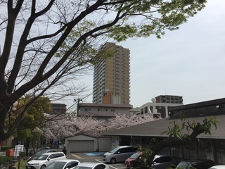 20160406-3.jpeg