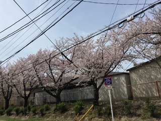 20160406-4.jpeg
