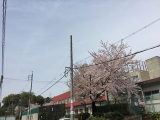 20160406-7.jpeg