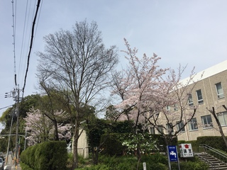 20160406-8.jpeg