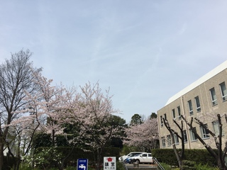 20160406-9.jpeg