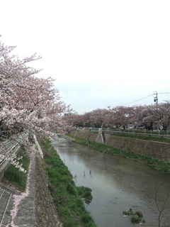 2016040801.jpeg
