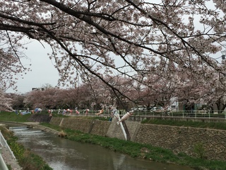 2016040802.jpeg