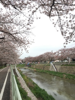 2016040803.jpeg