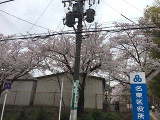 20170410-2.JPG