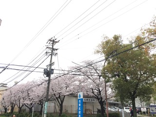 20170410-3.JPG