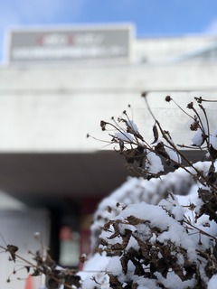 20180126-2.jpeg